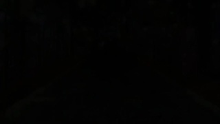 アラルガンド The Animation(中)