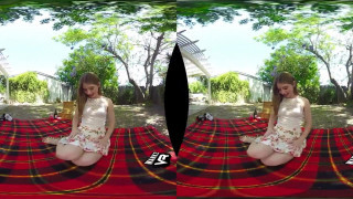 Wankz- Backdoor Picnic