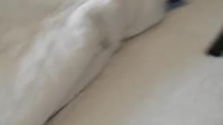 [本土美人五部!]高價販賣的流出，MODEL學院猴小雪就是值得玩味 2