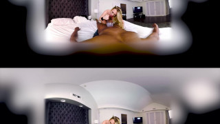 Hungry Kitty AJ Applegate