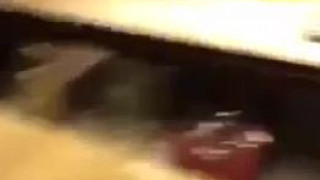 昨晚被虐的一塌糊涂 看样子热度不错