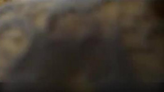 卧室三人行拍着拍着就流水了操着操着白浆就飙出来了