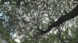 巨乳 着エロ 豊満 おっぱい 乳