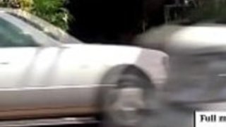 小柄な日本の花屋が店頭で猫を犯した