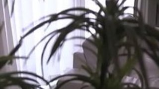 美人お姉さんと濃厚キスからジーンズを脱がしてエロいTバック越しにバックで挿入