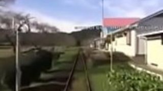 JAPお母さんの娘の家のM80の潜水艦を保ちます