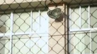 レイプ 巨乳 寝取られ 輪姦 鬼畜