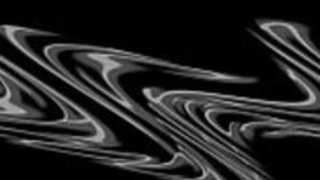 アメリカ vs 日本 チンコ対決